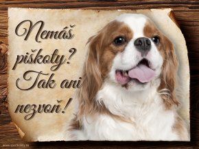 674 Cedulka Kavalír King Charles španěl