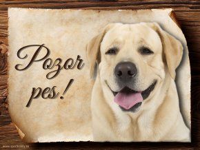 802 Cedulka Labradorský retrívr