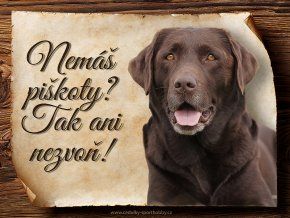 809 1 Cedulka Labradorský retrívr
