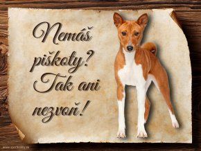 Cedulka Basenji - Piškoty/CP115