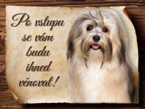 748 Cedulka Havanský psík