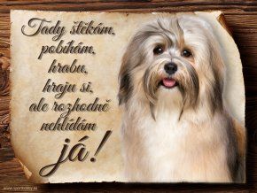 751 Cedulka Havanský psík
