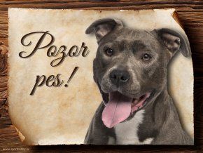 790 Cedulka Americký pitbulterier