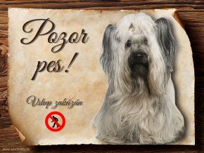 876 Cedulka Skye teriér