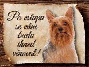 894 Cedulka Australský silky teriér