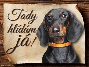 919 Cedulka Jezevčík černý