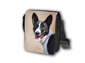 T133 Taška Basenji