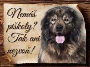 962 Šarplaninský pastevecký pes