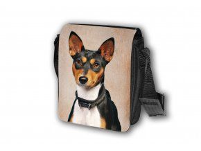 T137 Taška Basenji