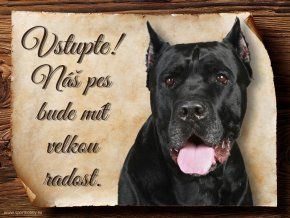 996 Cane corso