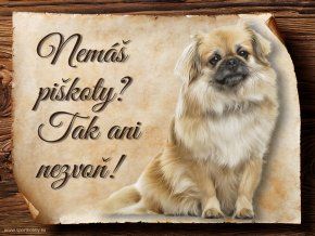 1016 Tibetský španěl