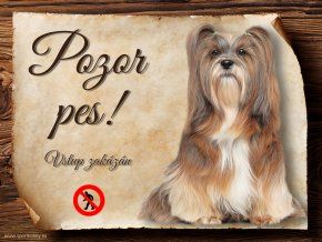 1036 Lhasa Apso