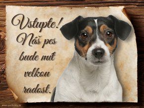 1086 Cedulka Jack Russel Terier II