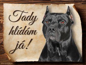 1099 Cedulka Americký pitbulteriér