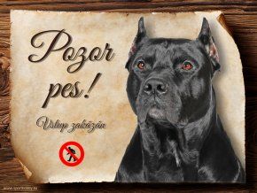 1103 Cedulka Americký pitbulteriér