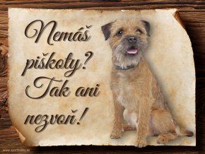 1119 Cedulka Border teriér