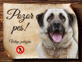 1208 Cedulka Anatolský pastevecký pes