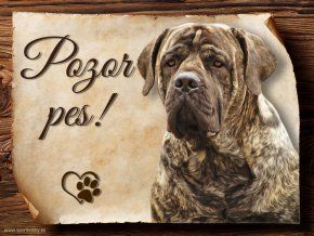1174 Cedulka Boerboel