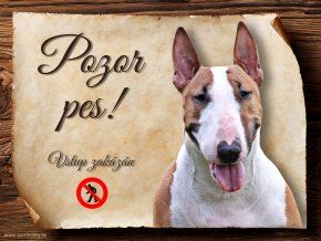 1221 Cedulka Bullterier V