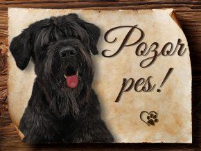 1300 Cedulka Ruský černý teriér