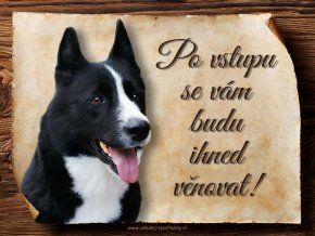 1380 Cedulka Ruskoevropská lajka