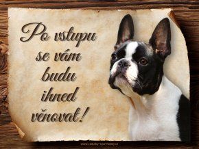 1386 Cedulka Bostonský teriér