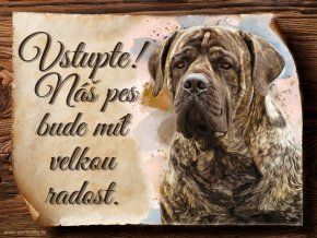 11178 Cedulka Boerboel