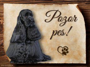 1451 Cedulka Americký kokršpaněl 1