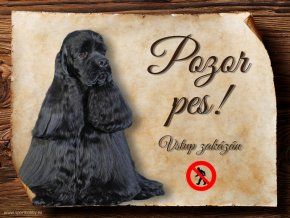 1454 Cedulka Americký kokršpaněl 1