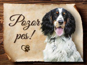 1623 Cedulka Anglický špringršpaněl