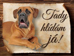 1652 Cedulka Cane corso