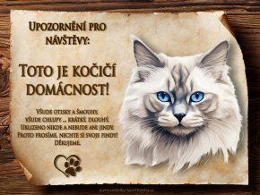 CZ045 Cedulka Něvská maškaráda 1