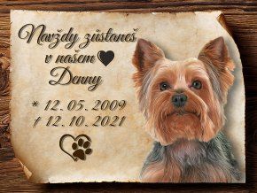 4994 Hrob Great Vibes