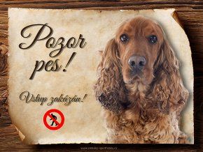 1501 Cedulka Anglický kokršpaněl II