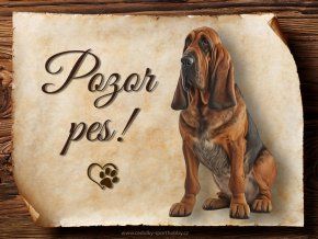 1635 Cedulka Bloodhound