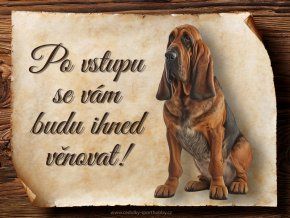 1637 Cedulka Bloodhound