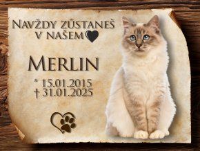 4993 hrobeček kočka