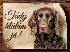 1734 Cedulka Boykin španěl