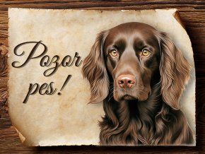 1735 Cedulka Boykin španěl