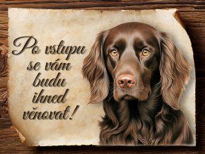 1737 Cedulka Boykin španěl