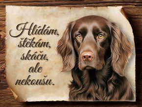 1738 Cedulka Boykin španěl