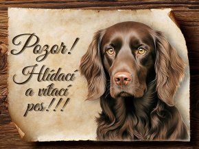 1739 Cedulka Boykin španěl