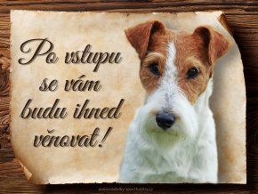 1668 Cedulka Foxterier