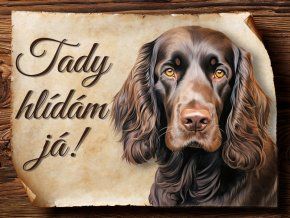 1746 Cedulka Field španěl I