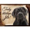 Cedulka Cane Corso  - Tady hlídám já/CP016