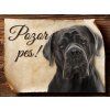 Cedulka Cane Corso - Pozor pes/CP017