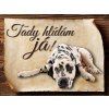 Cedulka Dalmatin  - Tady hlídám já/CP021