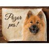 Cedulka Eurasier - Pozor pes/CP546