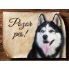 Cedulka Husky II - Pozor pes/CP450