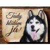 Cedulka Husky II - Tady hlídám já/CP449